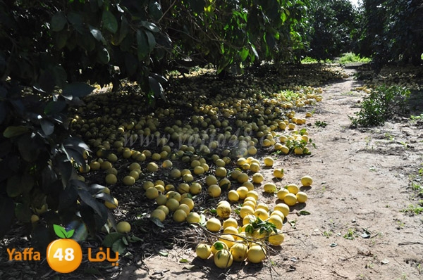 bayara visiting (13).JPG